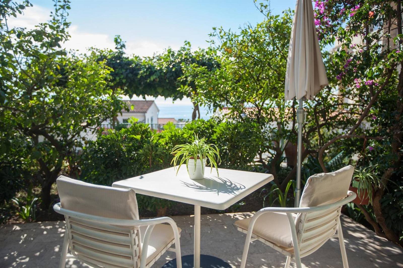 Villa Rosa: terrace with a table, chairs and parasol among trees